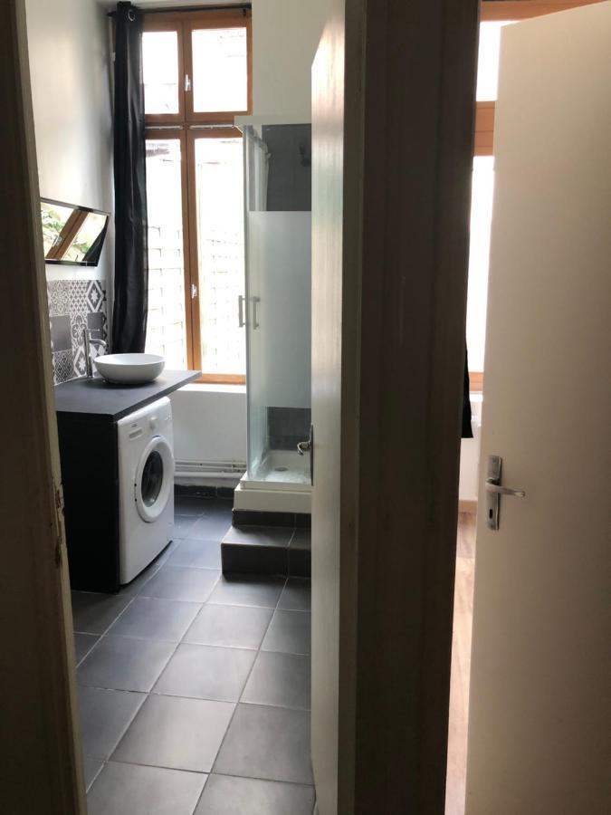 Appartement Et Son Jardin A Lille Fac De Droit Buitenkant foto